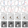 Thumbnail: Fig. 11. Refer to the following caption and surrounding text.
