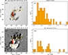 Thumbnail: Fig. 4. Refer to the following caption and surrounding text.