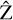 Mathematical equation: ${\hat Z}$