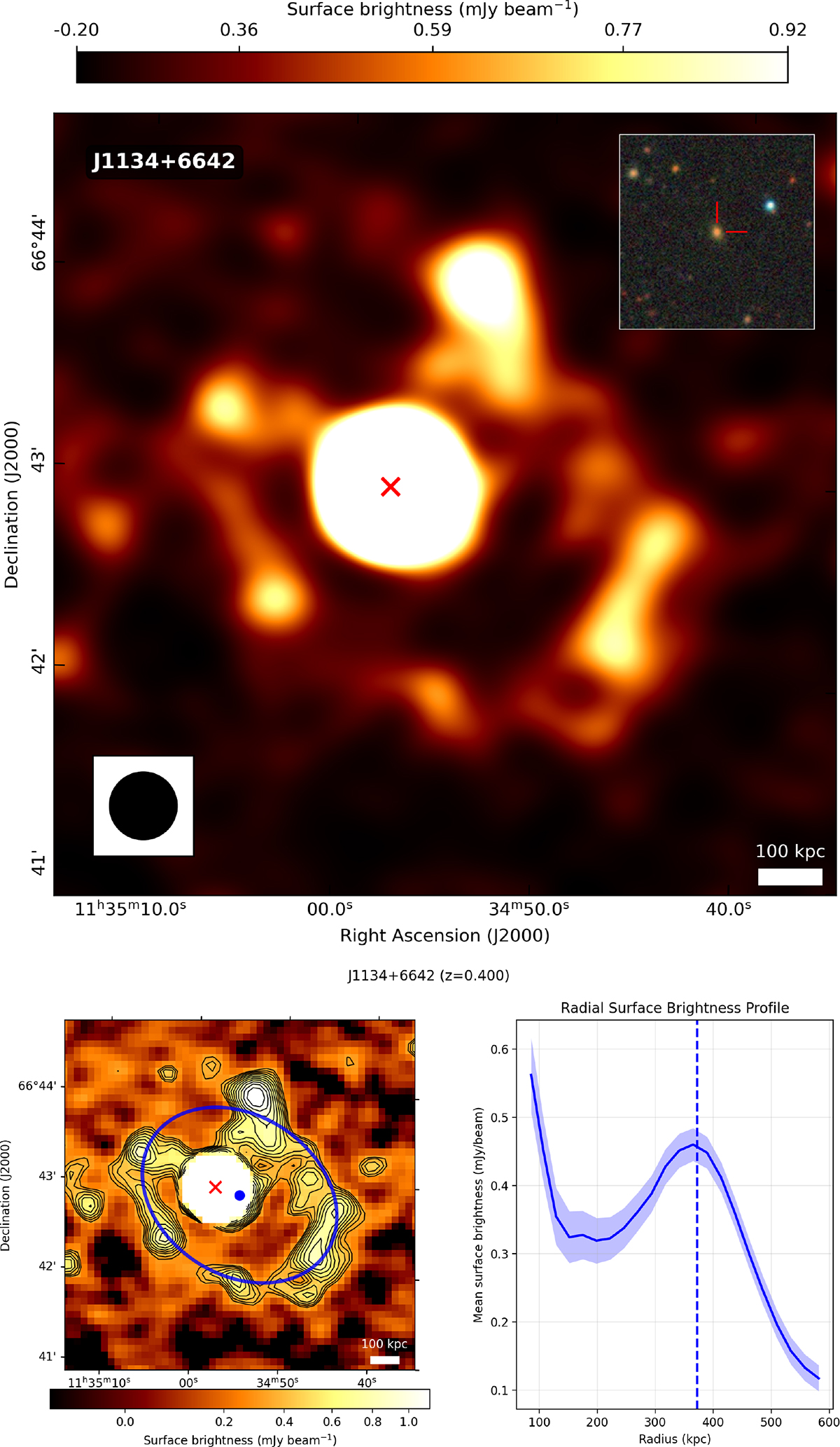 Fig. 4. Refer to the following caption and surrounding text.