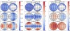 Thumbnail: Fig. 3 Refer to the following caption and surrounding text.