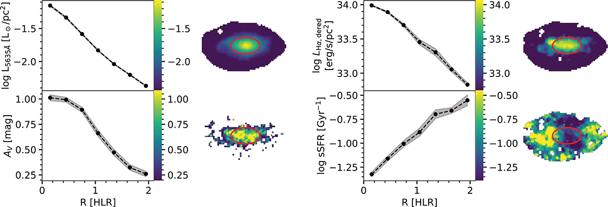 Fig. 3. Refer to the following caption and surrounding text.
