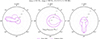 Thumbnail: Fig. 4. Refer to the following caption and surrounding text.