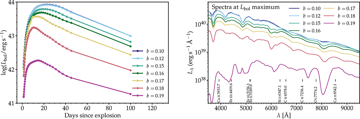 Fig. 9. Refer to the following caption and surrounding text.