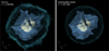 Thumbnail: Fig. 5 Refer to the following caption and surrounding text.