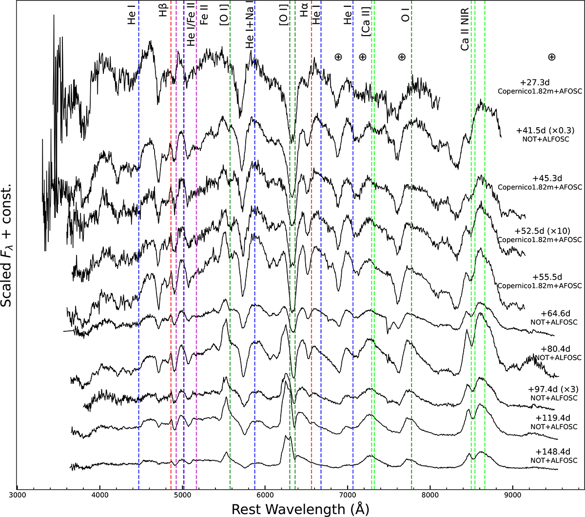Fig. 4. Refer to the following caption and surrounding text.