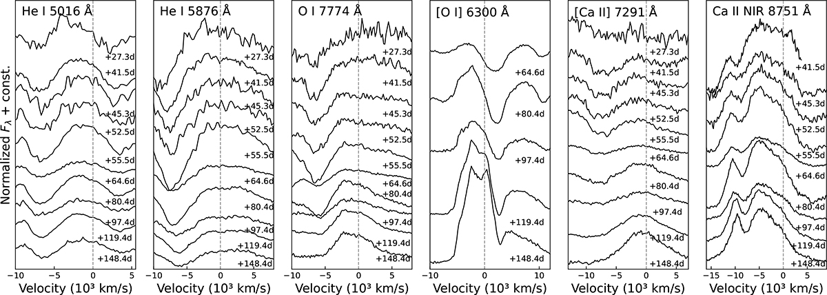 Fig. 5. Refer to the following caption and surrounding text.
