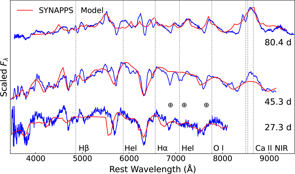 Fig. 7. Refer to the following caption and surrounding text.