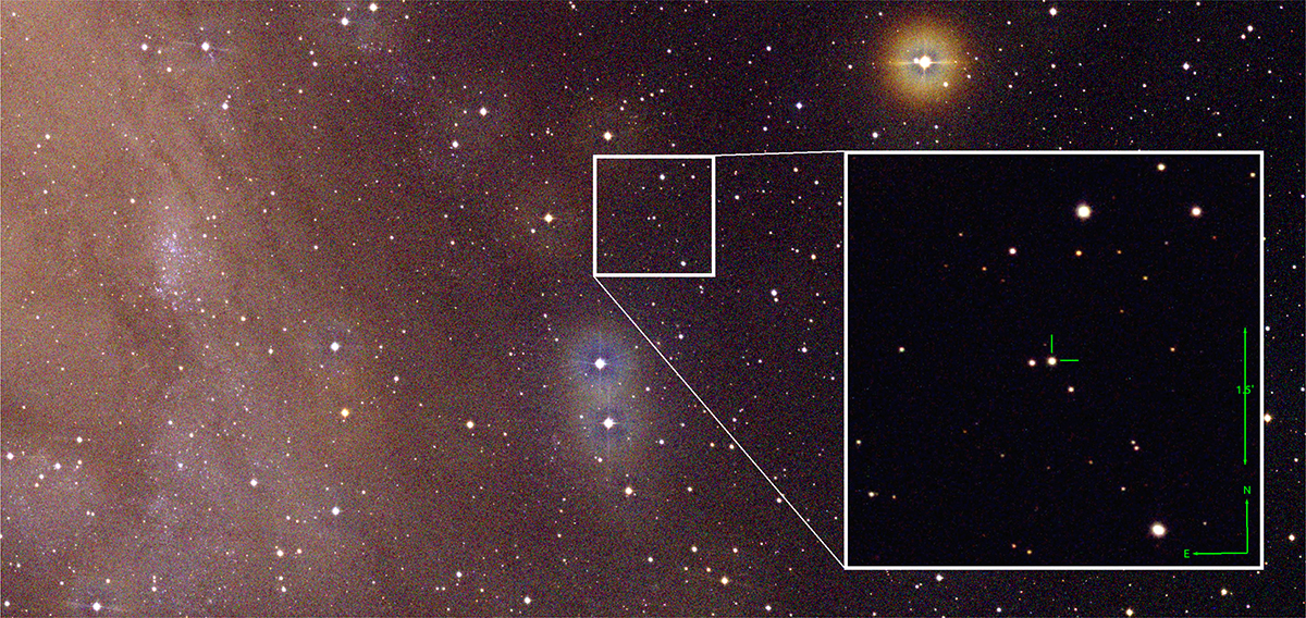 Fig. 1. Refer to the following caption and surrounding text.