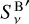 Mathematical equation: $S_\nu ^{{\rm{B}}\prime }$