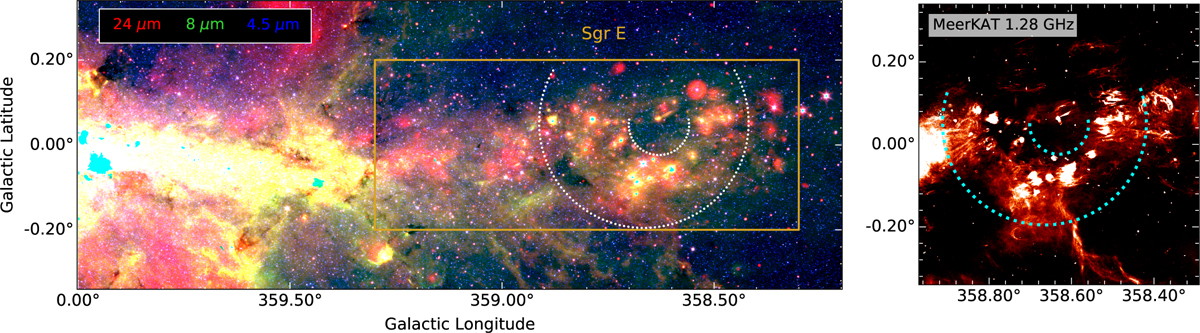 Fig. 1 Refer to the following caption and surrounding text.
