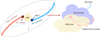 Thumbnail: Fig. 13 Refer to the following caption and surrounding text.