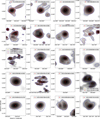Thumbnail: Fig. A.1 Refer to the following caption and surrounding text.