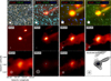 Thumbnail: Fig. 4 Refer to the following caption and surrounding text.