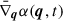 Mathematical equation: $ \bar{\nabla}_{\boldsymbol{q}}\alpha(\boldsymbol{q}, t) $