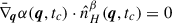 Mathematical equation: $ \bar{\nabla}_{\boldsymbol{q}} \alpha(\boldsymbol{q}, t_c) \cdot \hat{n}_H^{\beta}(\boldsymbol{q}, t_c) = 0 $