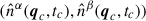 Mathematical equation: $ (\hat{n}^{\alpha}(\boldsymbol{q}_c,t_c), \hat{n}^{\beta}(\boldsymbol{q}_c,t_c)) $