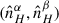 Mathematical equation: $ (\hat{n}_H^{\alpha}, \hat{n}_H^{\beta}) $