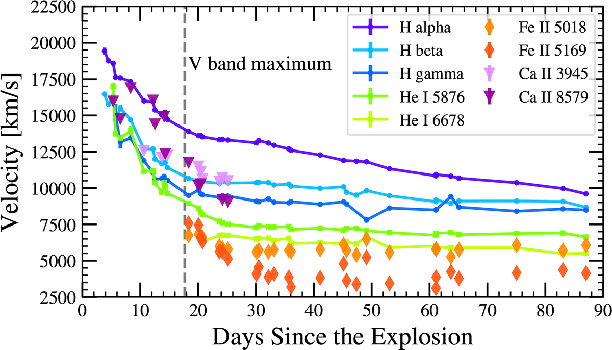 Fig. 7. Refer to the following caption and surrounding text.