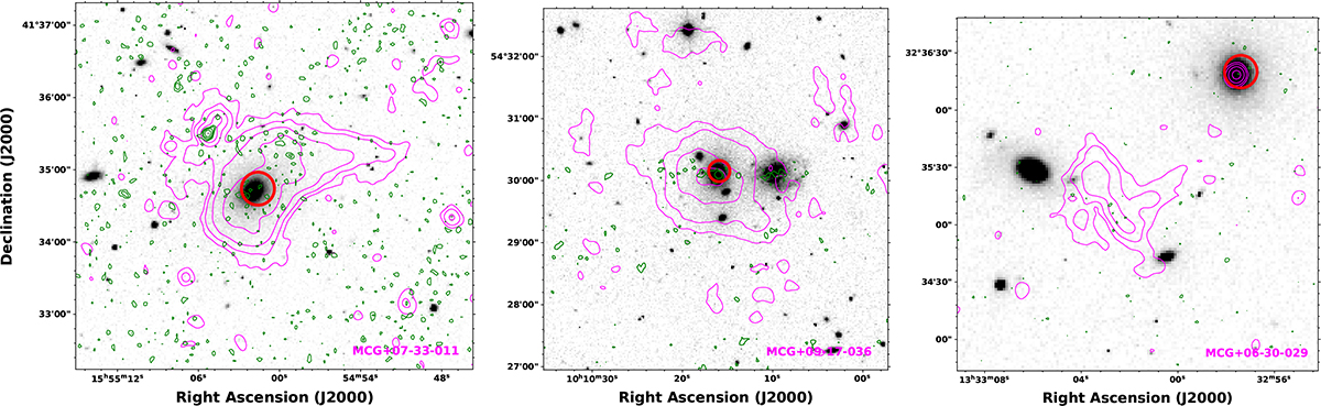 Fig. 2. Refer to the following caption and surrounding text.