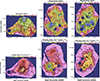 Thumbnail: Fig. 6. Refer to the following caption and surrounding text.