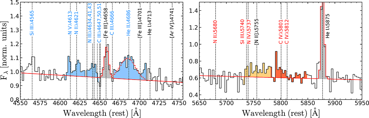 Fig. 3. Refer to the following caption and surrounding text.