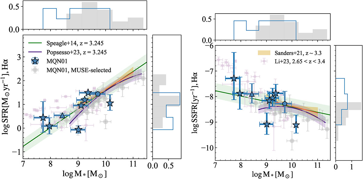 Fig. 4. Refer to the following caption and surrounding text.