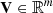 Mathematical equation: $ \mathbf V \in \mathbb{R} ^m $