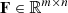 Mathematical equation: $ \mathbf F \in \mathbb{R} ^{m \times n} $