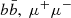 Mathematical equation: $ b\bar{b},\ \mu^+\mu^- $
