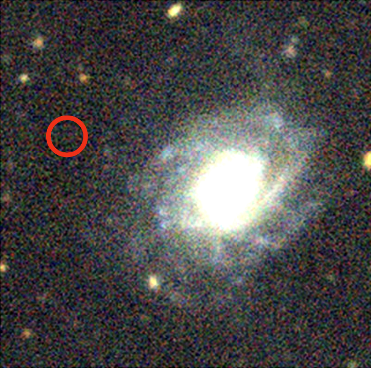 Fig. 2. Refer to the following caption and surrounding text.