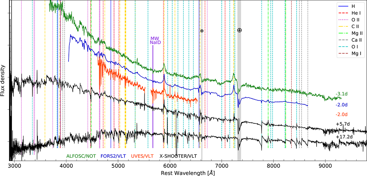 Fig. 4. Refer to the following caption and surrounding text.