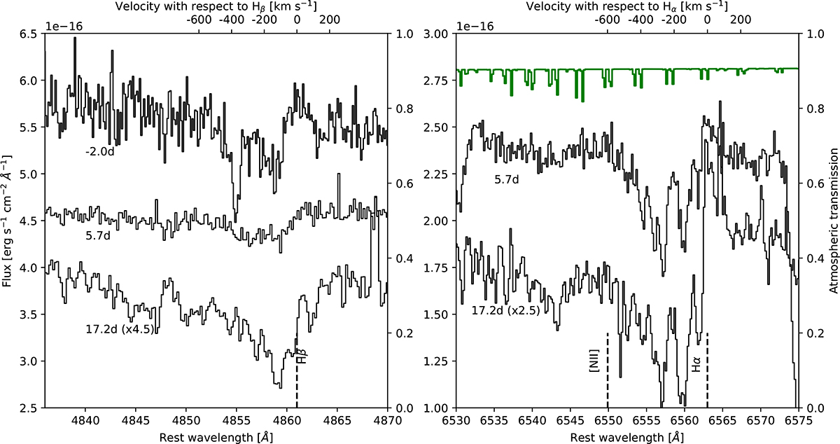 Fig. 5. Refer to the following caption and surrounding text.