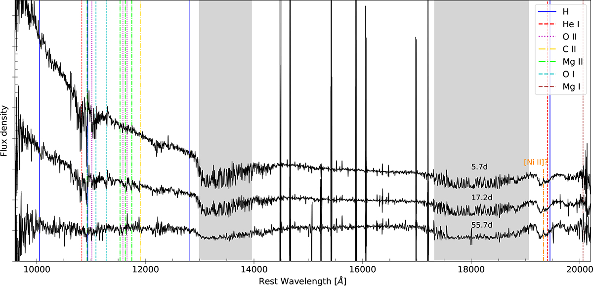 Fig. 8. Refer to the following caption and surrounding text.