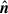 Mathematical equation: $ \hat{\boldsymbol{n}} $