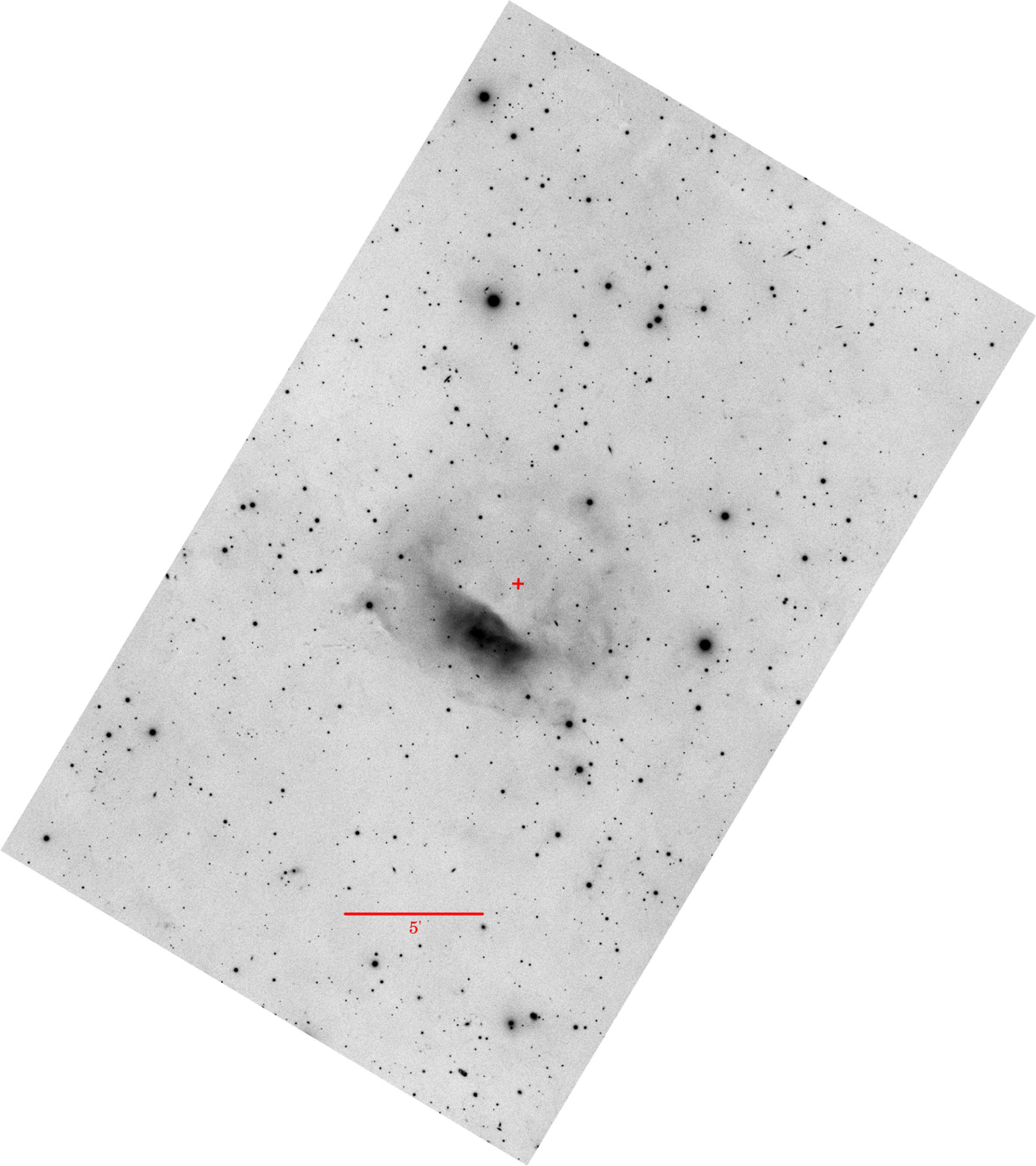 Fig. 9 Refer to the following caption and surrounding text.