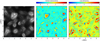 Thumbnail: Fig. 9 Refer to the following caption and surrounding text.