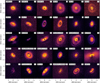 Thumbnail: Fig. 1 Refer to the following caption and surrounding text.