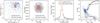 Thumbnail: Fig. 1 Refer to the following caption and surrounding text.