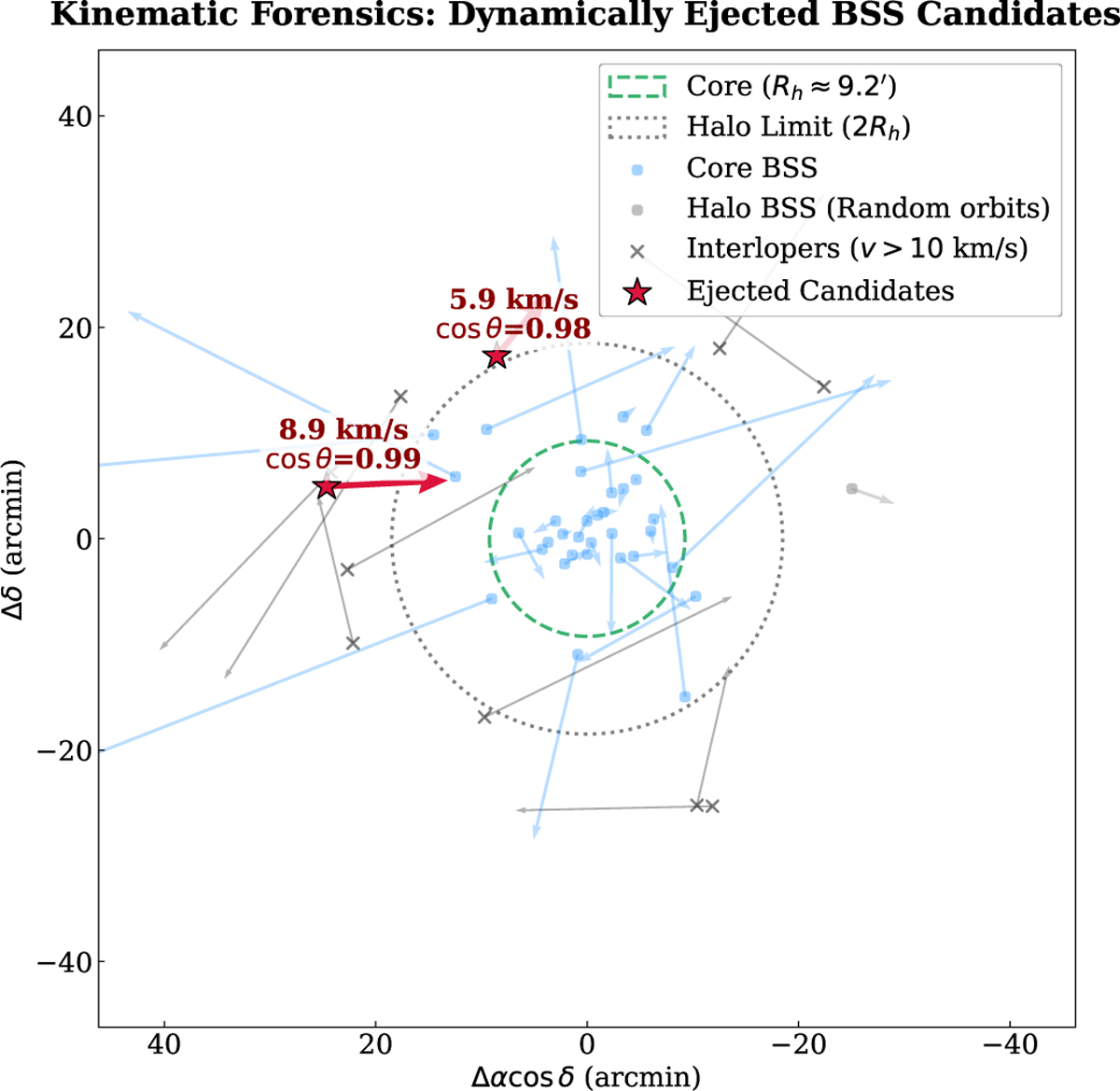 Fig. 7 Refer to the following caption and surrounding text.